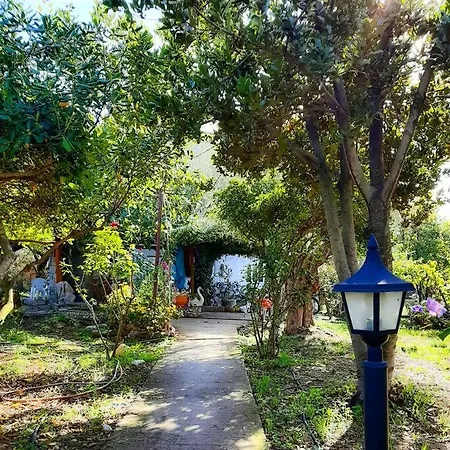 Feriehus The Olive Grove