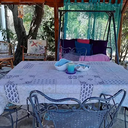 The Olive Grove * Volos