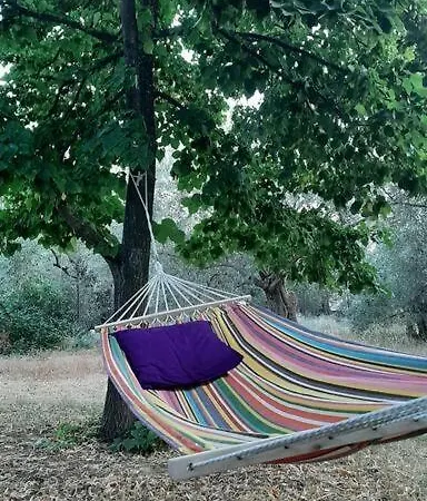 펜션 The Olive Grove *