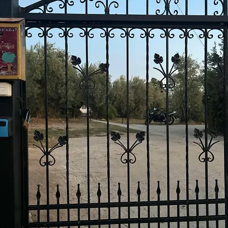 The Olive Grove 볼로스